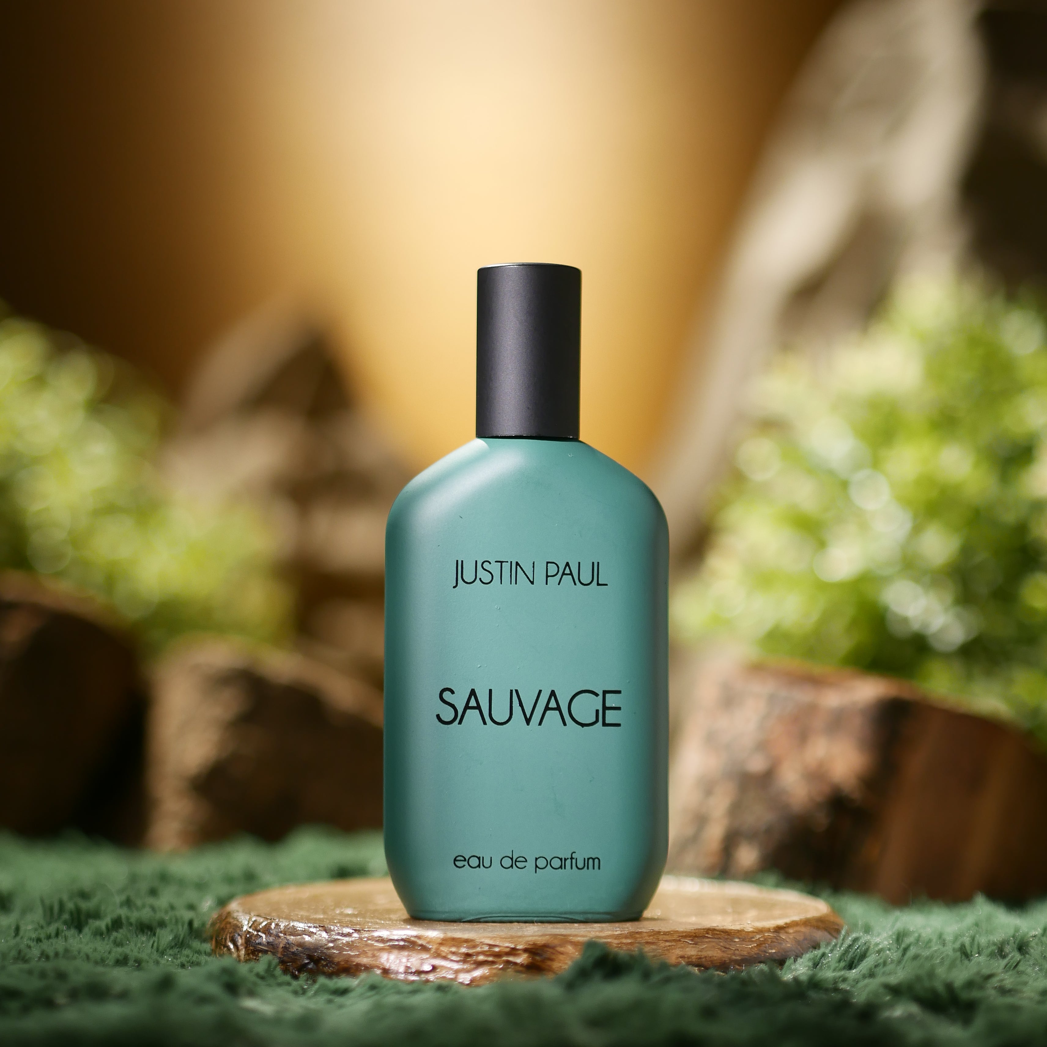 JUSTIN PAUL SAUVAGE